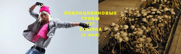 mdpv Нея