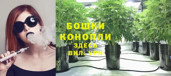 ГАЛЛЮЦИНОГЕННЫЕ ГРИБЫ Алексеевка