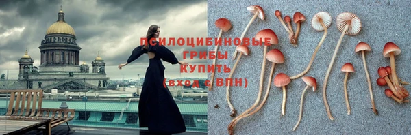 твердый Алексин