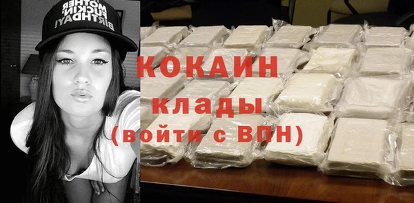 твердый Алексин